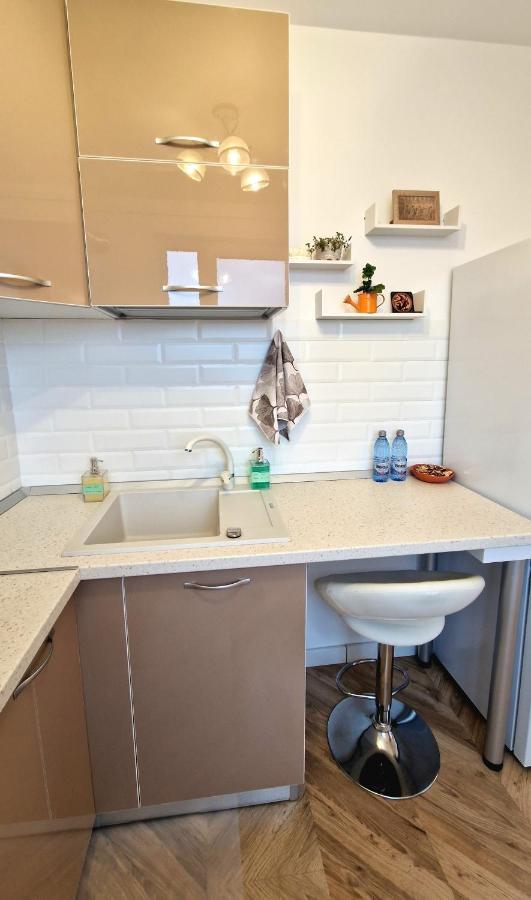 Apartament Domus Magistrae Bukareszt Zewnętrze zdjęcie